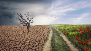 ACCETTARE IL CAMBIAMENTO